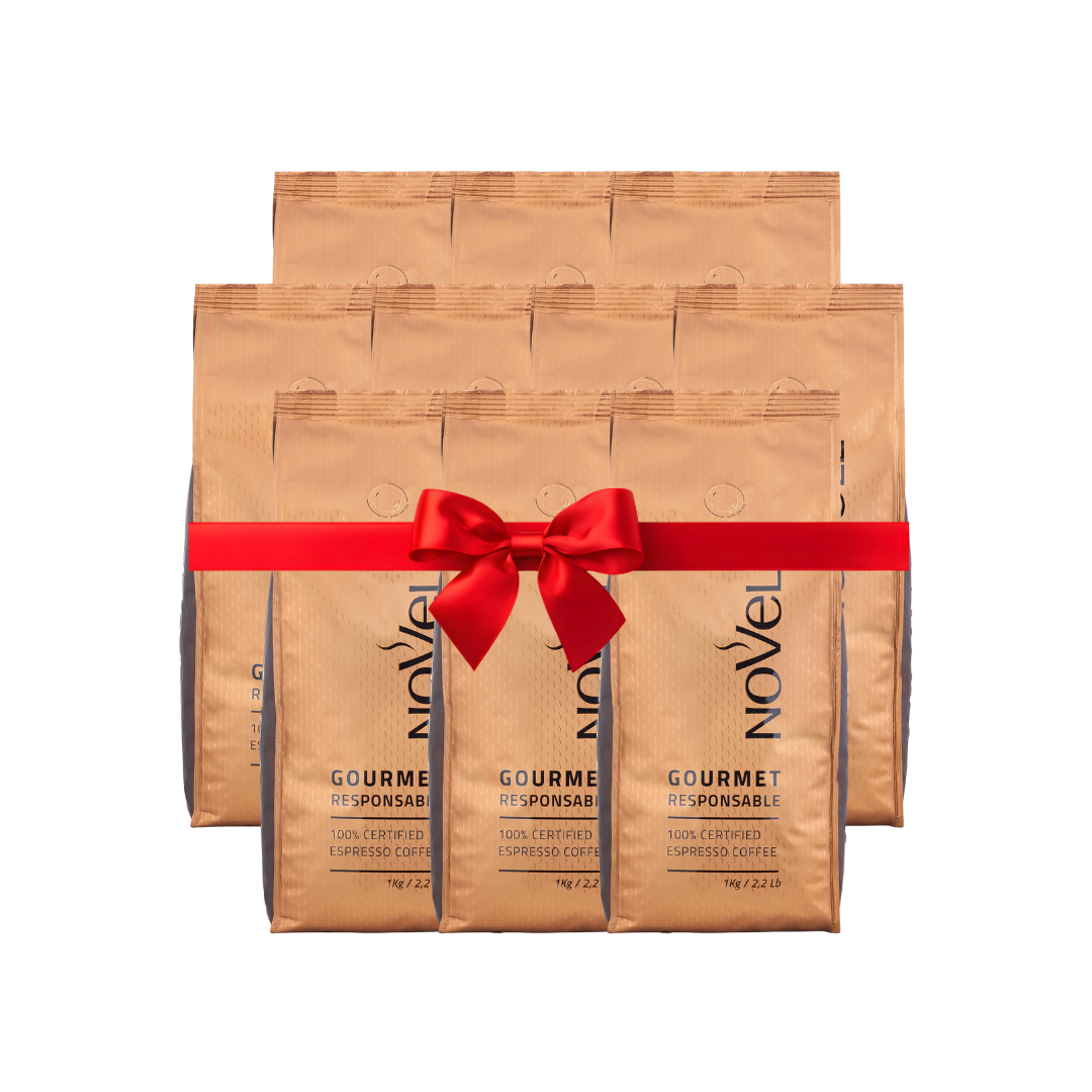10 Gs Gourmet Responsable (1kg x 10) 100% Arabica